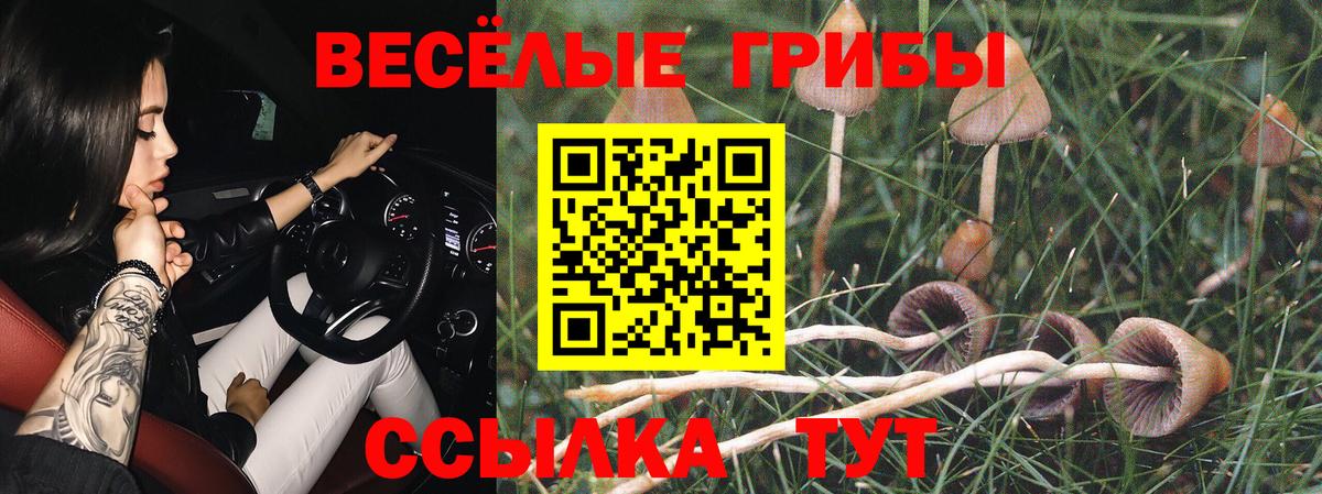 Ефремов  Галлюциногенные грибы GOLDEN TEACHER  Вход с VPN 
