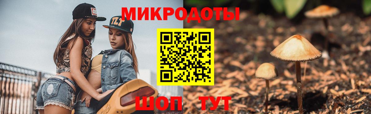 Галлюциногенные грибы Psilocybine cubensis Ефремов